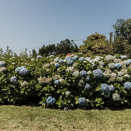 Holiday home Saramagoso Meis