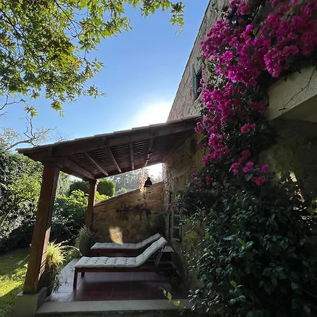 Saramagoso Holiday home Meis